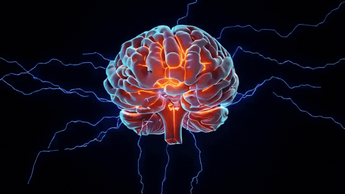 Animated Brain Fallback